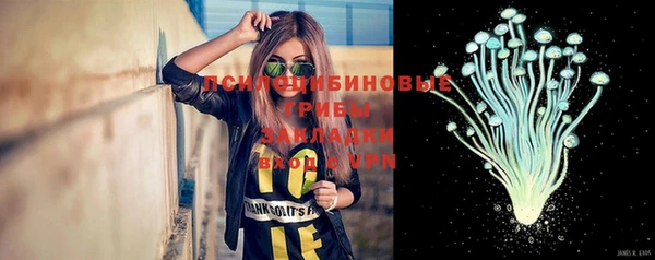 стаф Кодинск