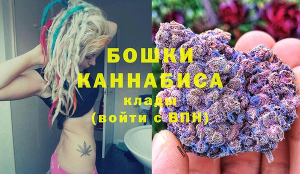 стаф Кодинск