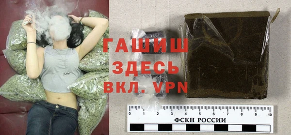 стаф Кодинск