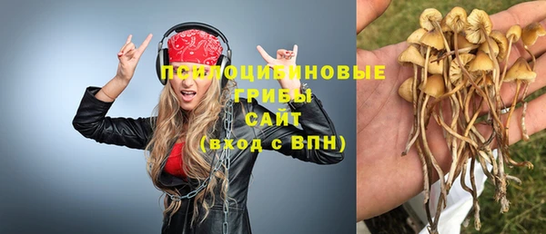мдпв Козловка