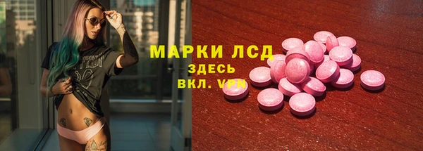 стаф Кодинск