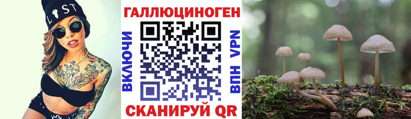 Купить  Белебей  Галлюциногенные грибы GOLDEN TEACHER 